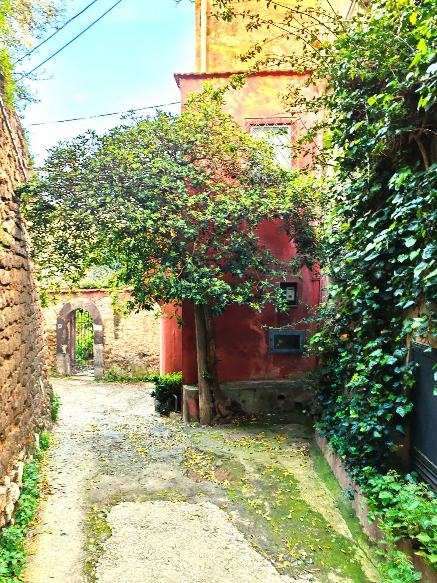Mediterranea E Casa Del Capricorno Charming Houses Massa Lubrense Exterior foto